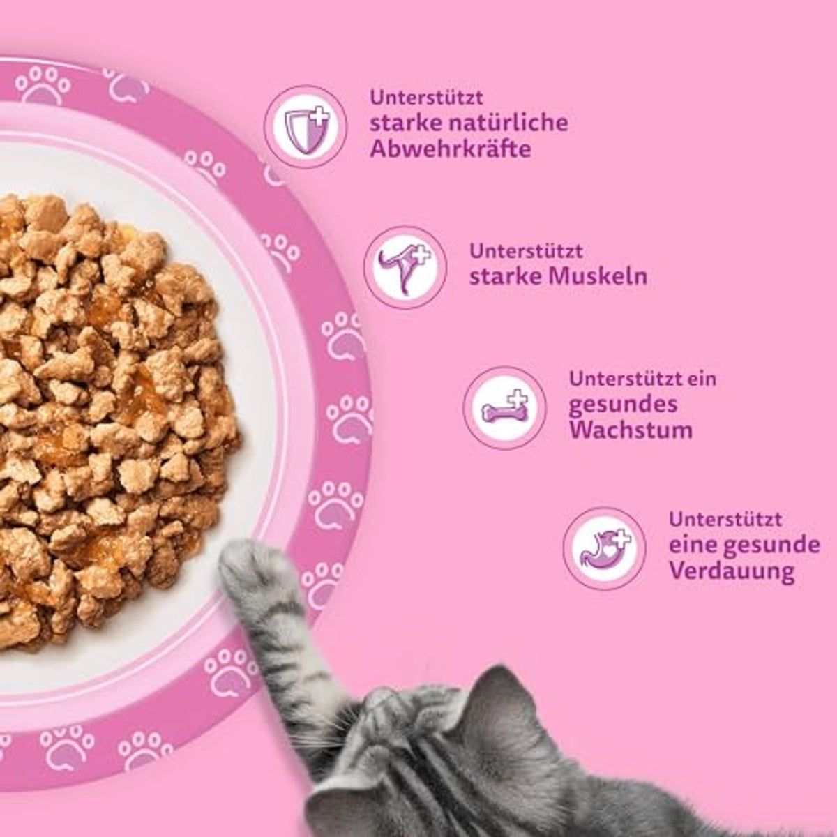 Whiskas Junior natvoer kattenvoer pluimvee selectie in gelei 12 x 85 g - 6-pack