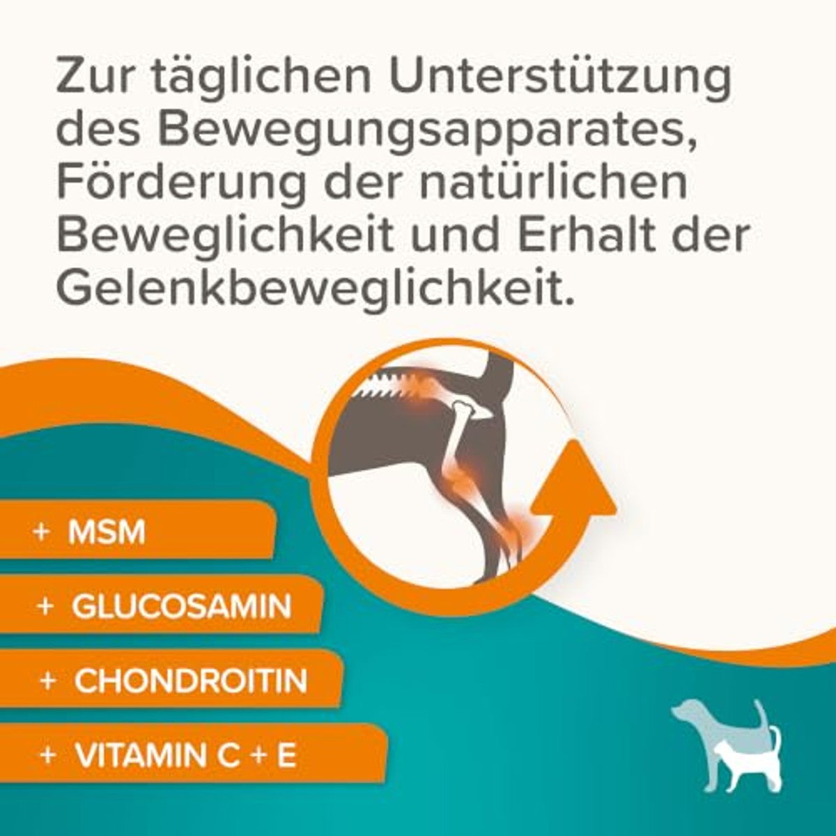 Beaphar Flexifit glucosamine tabletten hond & kat, 120 st. - 3-pack – foto 5