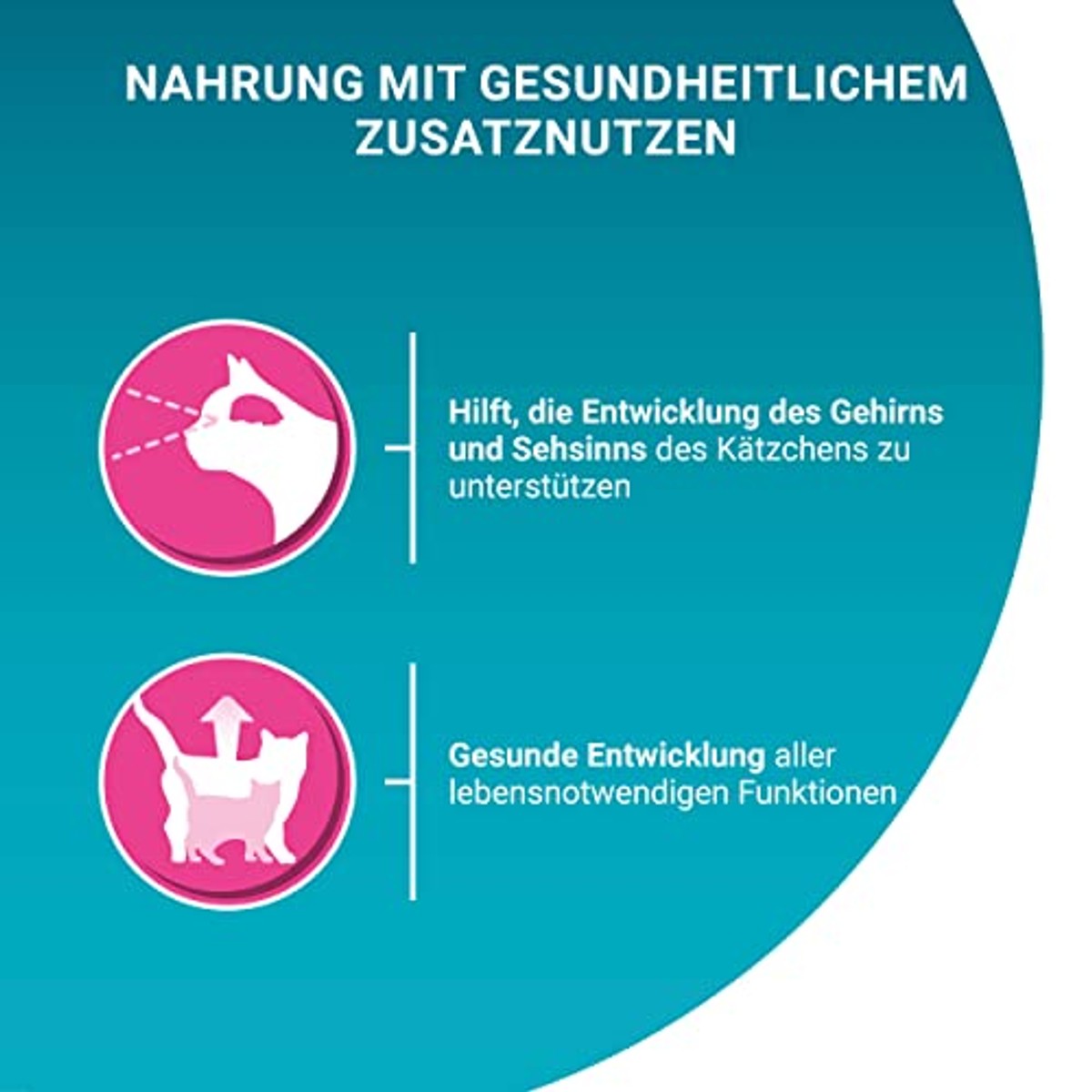PURINA ONE Junior, met zalm en wortelen, verpakking van 48 stuks (12 x 4 x 85 g) | Kattenvoer nat – PURINA ONE