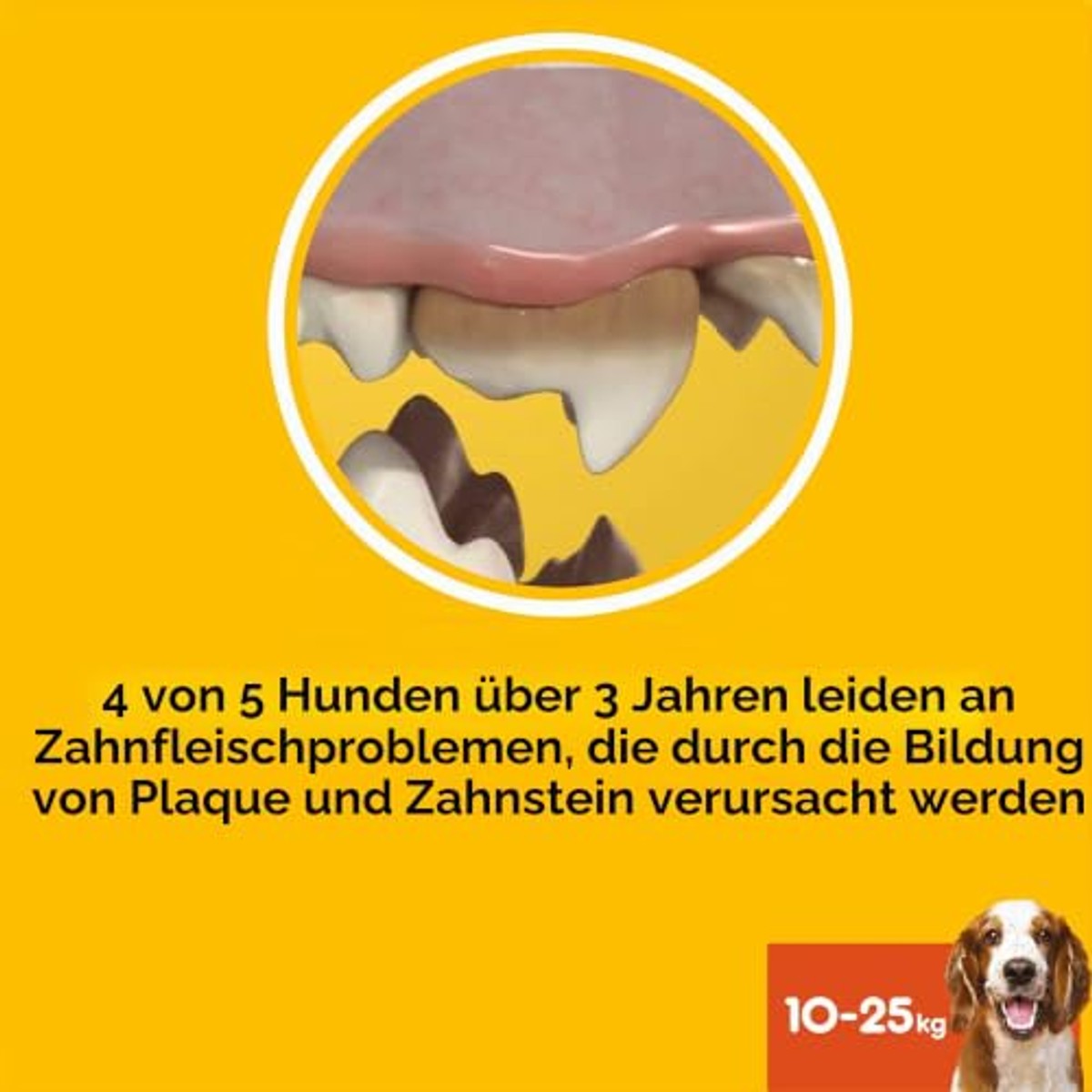 Pedigree Dentastix Fresh middelgrote hond 10-25 kg 112 stuks 180 g - 6-pack