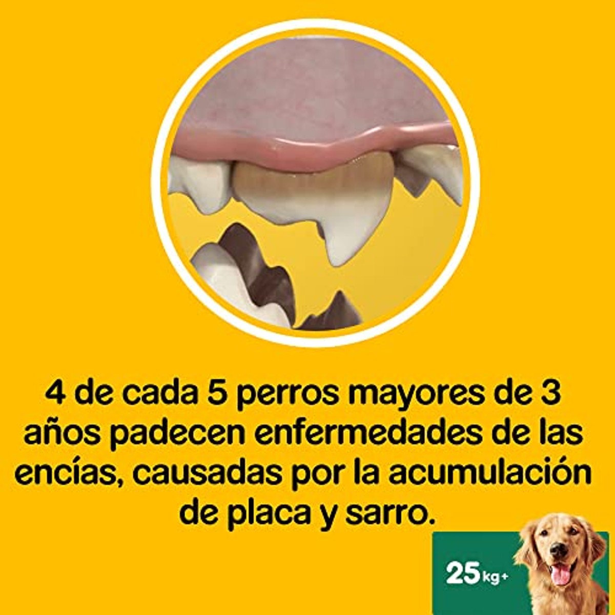 Pedigree Dentastix hondensnack grote honden 10 x 7 stuks - 3-pack