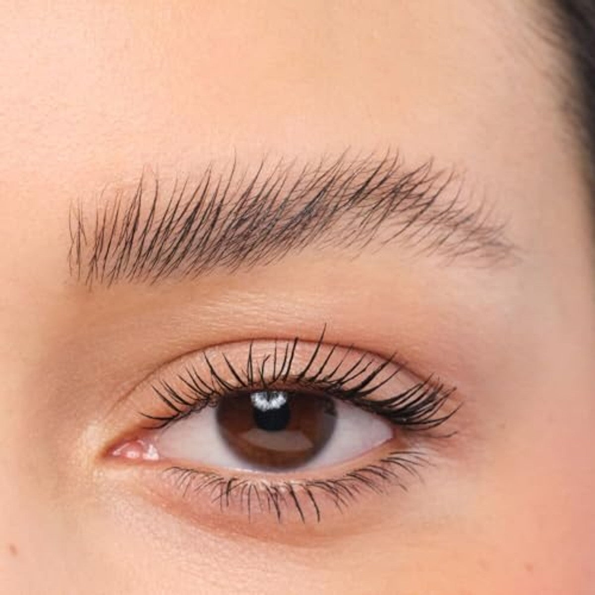 Artdeco Brow Lift Laminatie transparante wenkbrauwgel 1 x 6 ml - 3-pack