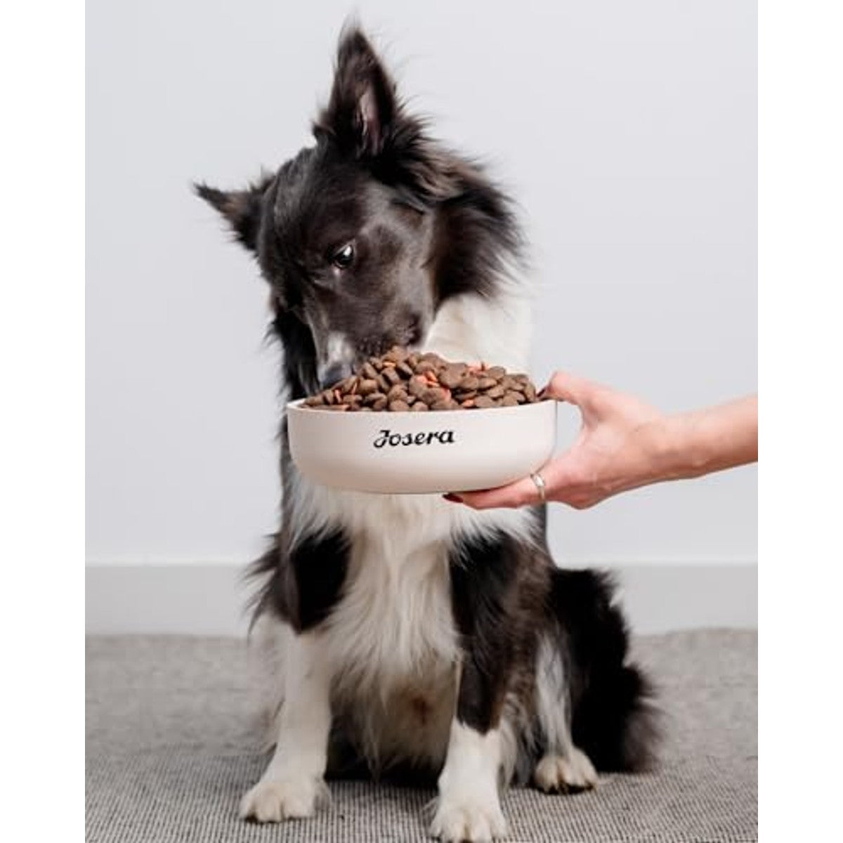 JOSERA Kip & zoete aardappel (3 kg) | droogvoer voor volwassen honden | Adult MediMax Graanvrij premium voer voor sportieve honden van middelgrote en grote rassen, rijk aan eiwitten met erwten – Josera