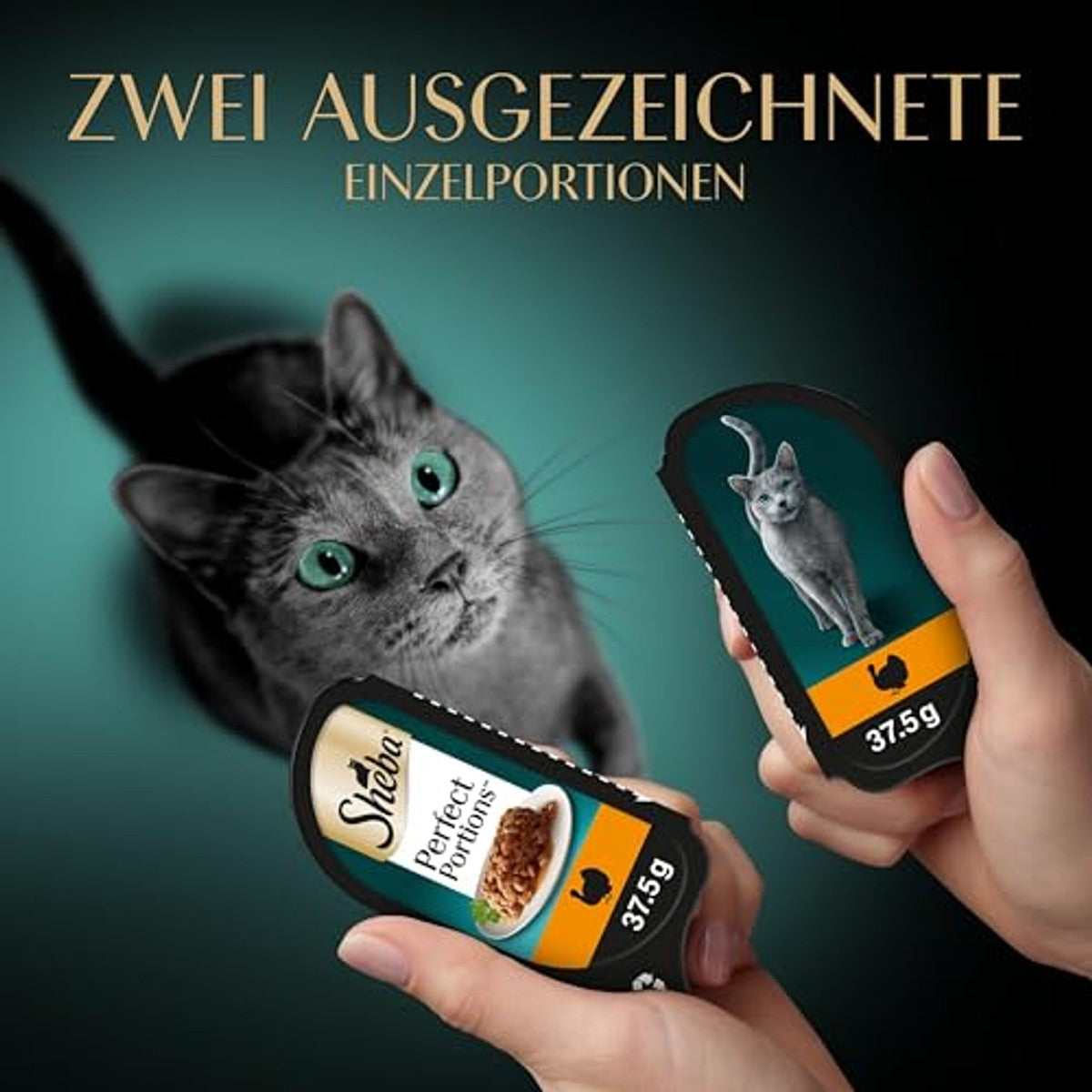 Sheba Perfect Portions natvoer kattenvoer kalkoen 8 x 3 x (2 x 375 g) - 6-pack