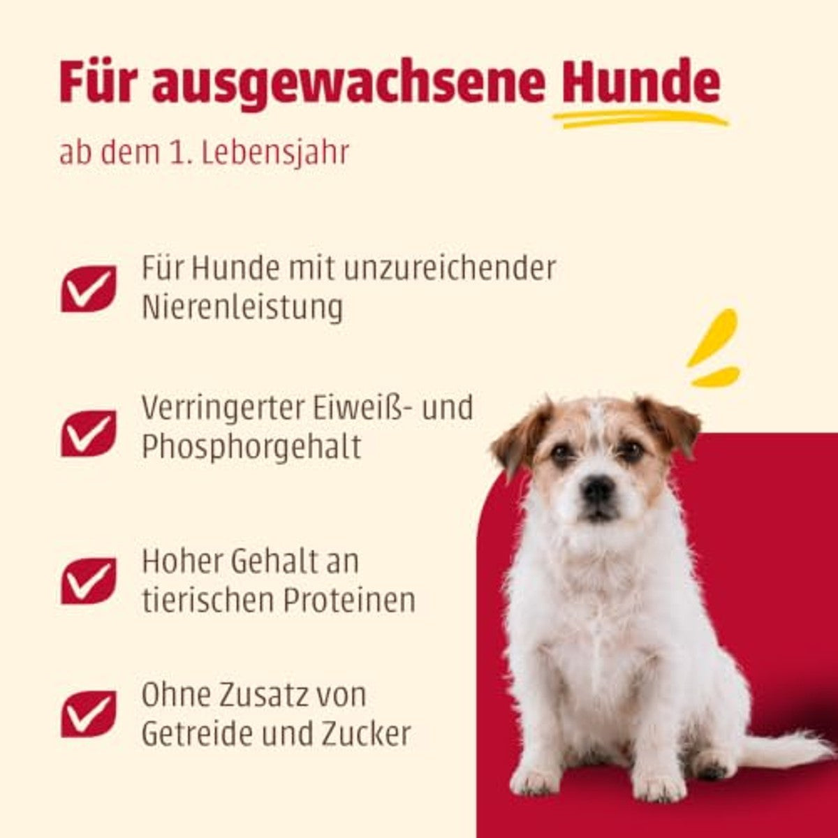Animonda Integra Protect Nieren natvoer hondenvoer kip - 3-pack