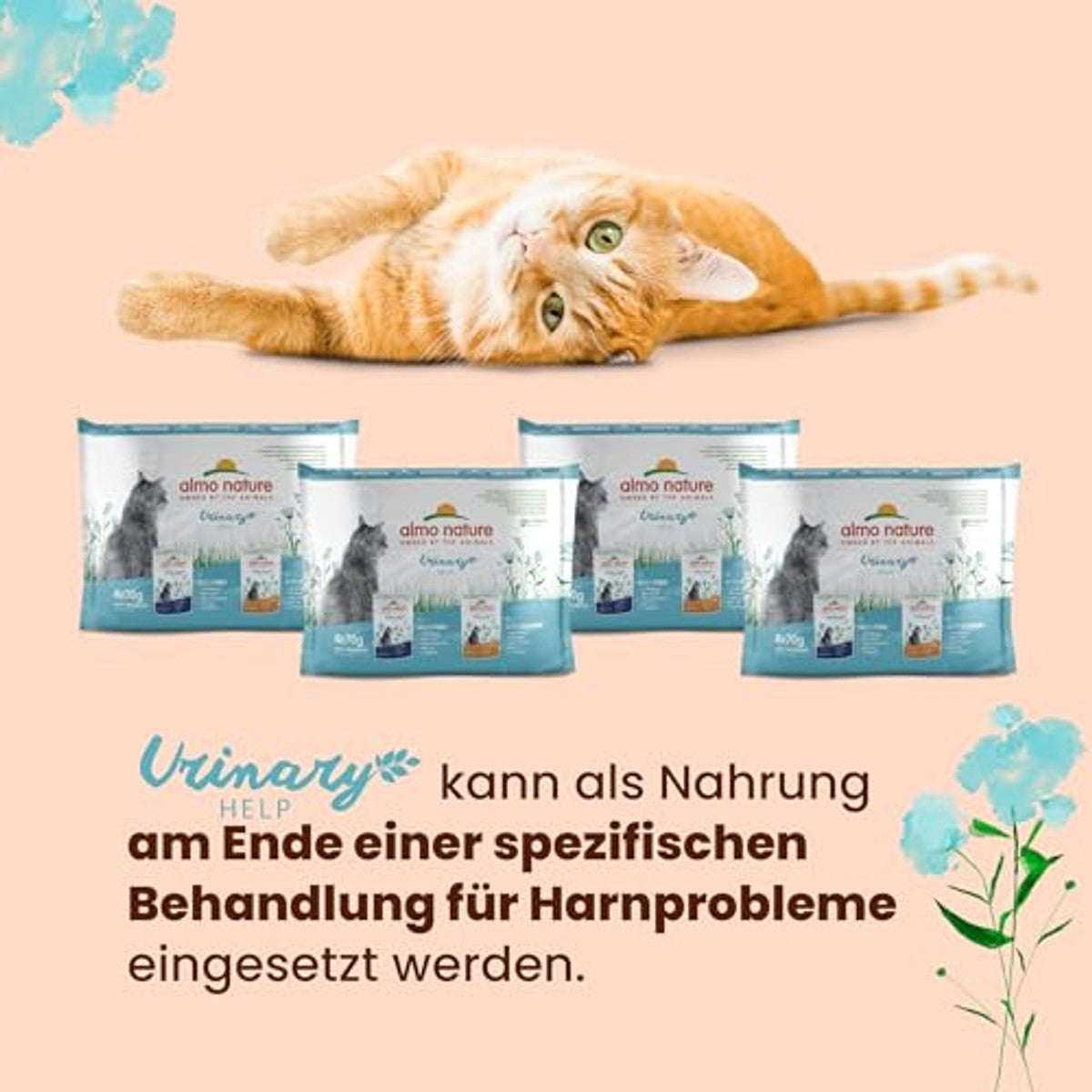Almo Nature kattenvoer Cat functionele zak urinewegen met vis, 30 x 70 g – almo nature