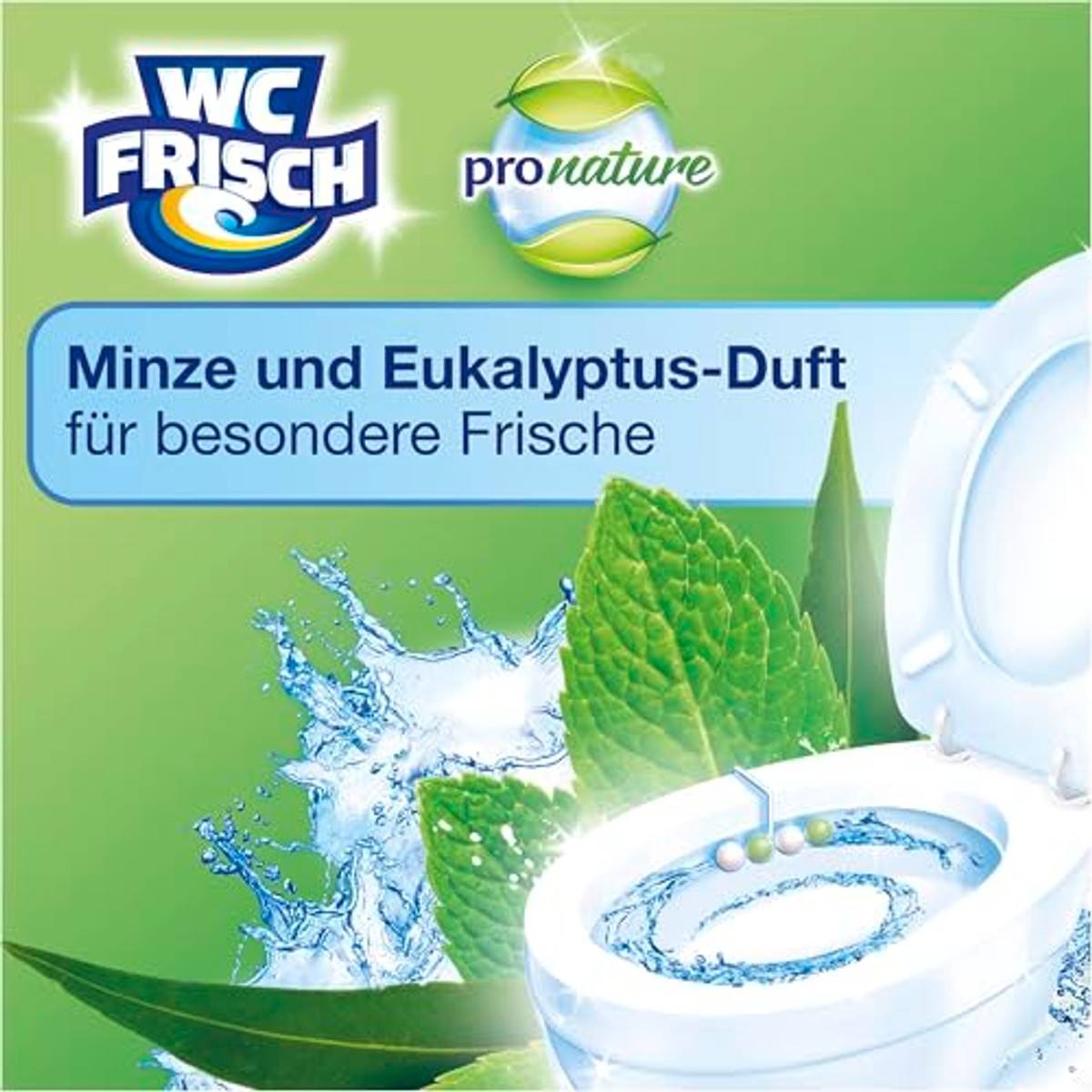 WC-Frisch Kraft Aktiv Pro Nature Mint & Eucalyptus 10 stuks – WC-Frisch