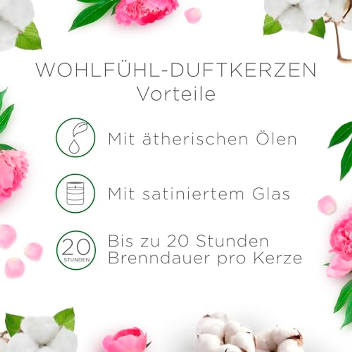 Air Wick Cotton Flower Dream geurkaarsen 6 x 105 g – Air Wick