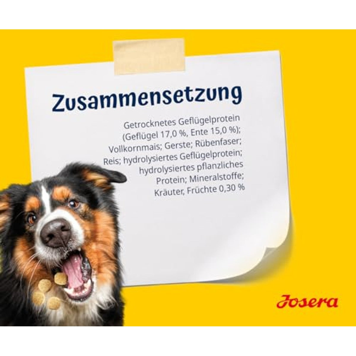 JOSERA Knuspies met eend smakelijke hondenlekkernijen met laag vetgehalte, per stuk verpakt (1 x 900 g) | Adult | Fijne hondenlekkernijen - ook als beloningssnack | gevogelte en eend | met kruiken en fruit | tarwevrij – Josera