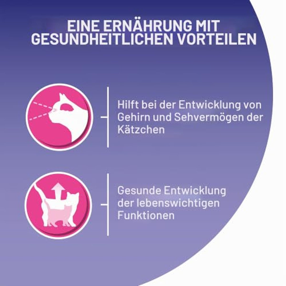 Purina One Bifensis Kitten droogvoer kat zalm 1 x 1,5 kg - 6-pack