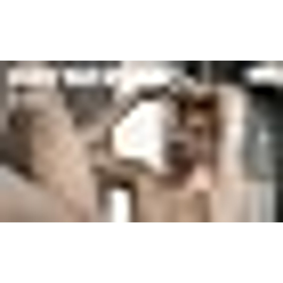 STMNT STATEMENT GROOMING GOODS Hydro Shampoo 300 ml | hydrateert | versterkt het haar | vrij van sulfaten (SLS**) en siliconenoliën | veganistisch & PETA-gecertificeerd