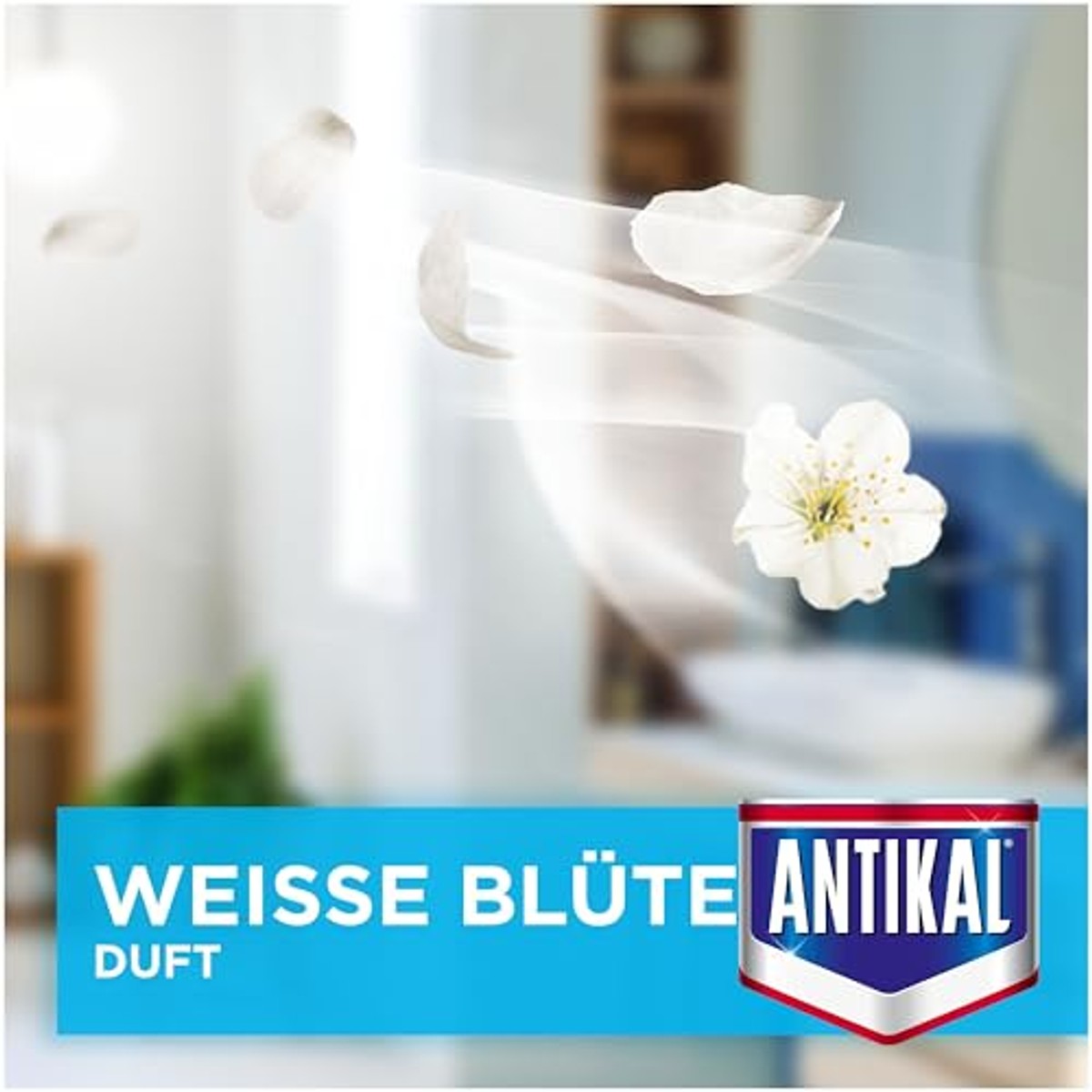 Antikal Kalkreiniger badkamer 10 x 800 ml – Antikal