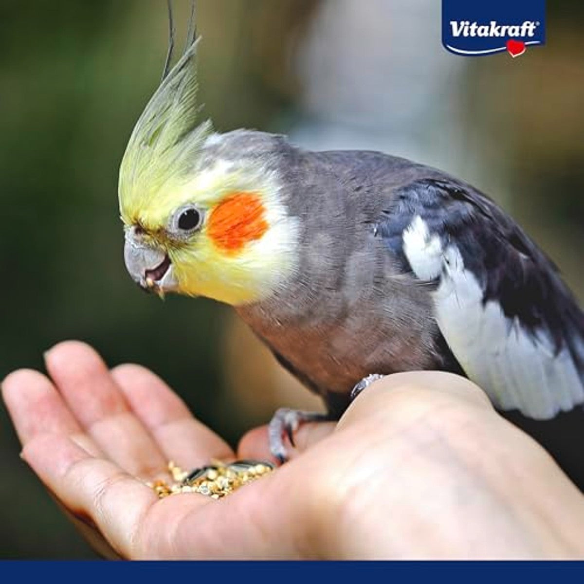 Vitakraft Menu vogelvoer grote parkieten 1 x 3 kg - 3-pack