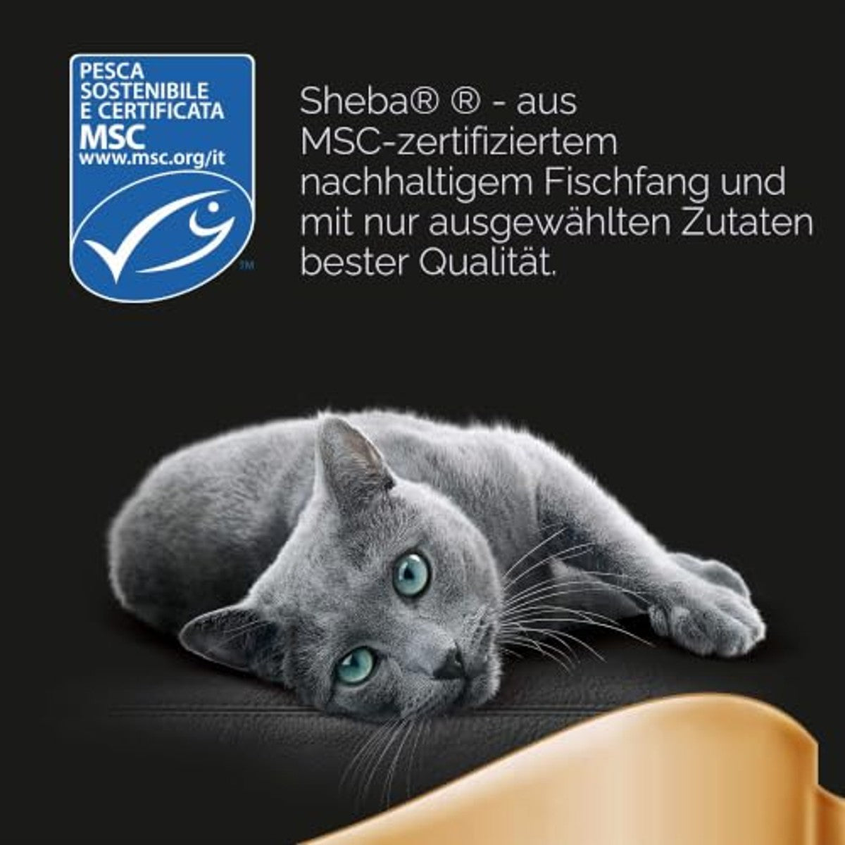SHEBA Délices Gourmands Frisse zakjes, 6 x 50 g, 12 stuks - Taste of Paris – Sheba