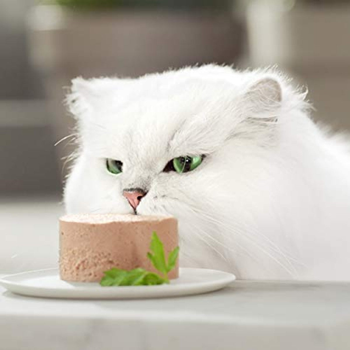 Purina Gourmet Goud nat kattenvoer mousse met oceaanvissen 24 blikjes à 85 g, doos 24 x 85 g – Gourmet