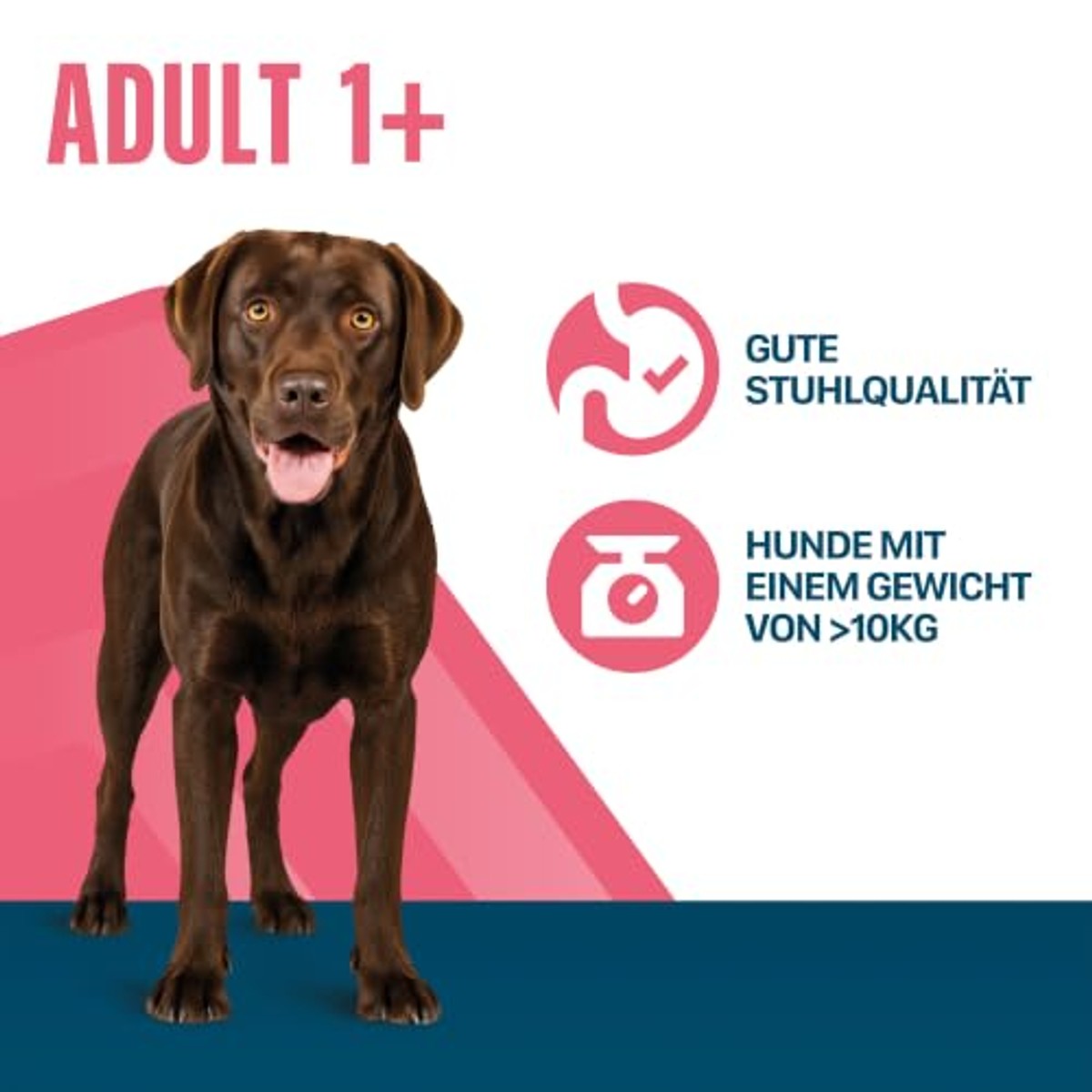 Perfect Fit Adult M/L hondenvoer kip 1 x 6 kg - 3-pack
