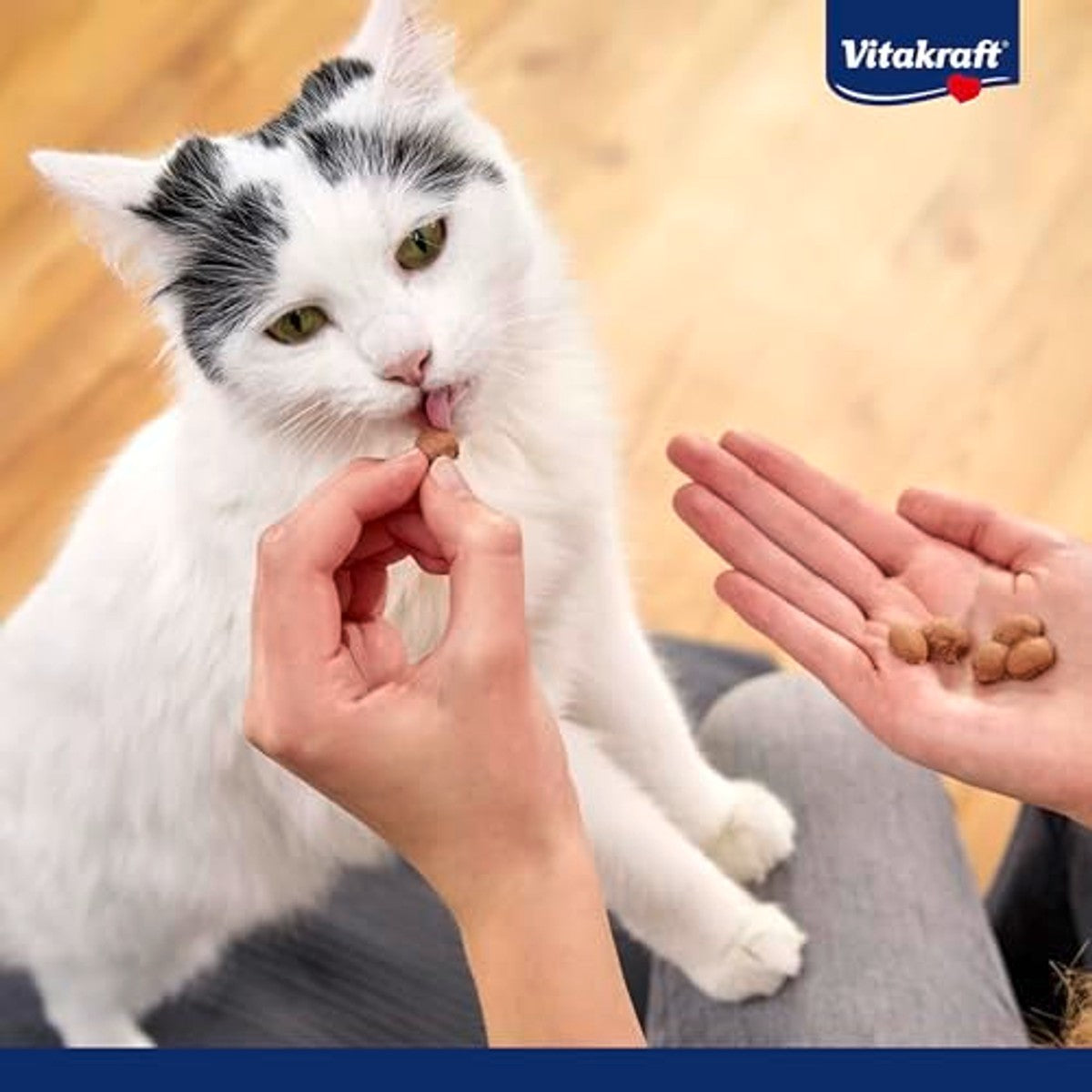 Vitakraft Triggles, kattensnack, met koolvis, mini-hapjes om te verwennen, zonder toegevoegde suiker (1 x 40 g) – Vitakraft