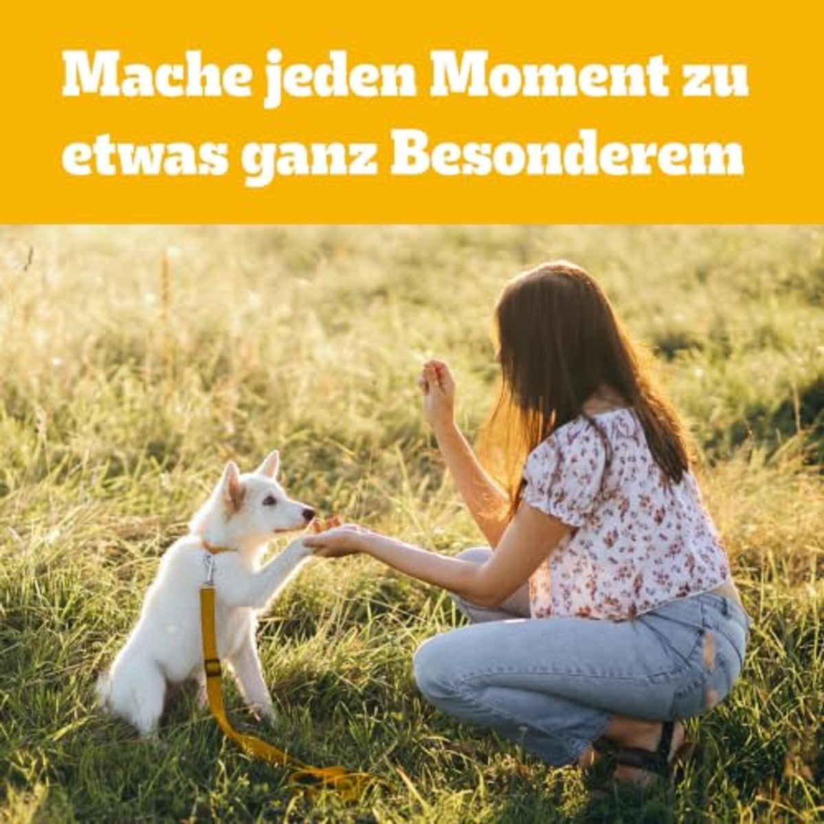 PEDIGREE RANCHOS Fillets Hundesnacks mit 100% natürlicher Hühnerbrust 12 x 70 g (12er-Packung) – Pedigree