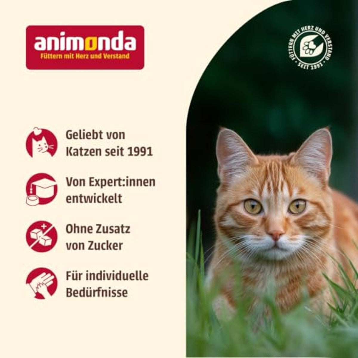 animonda Carny Ocean Natvoer voor katten, zeediversiteit nr. 2 (12 x 80 g) | Kattenvoer nat voor volwassen katten, met delicate visfilet, zonder granen zonder suiker – animonda Carny