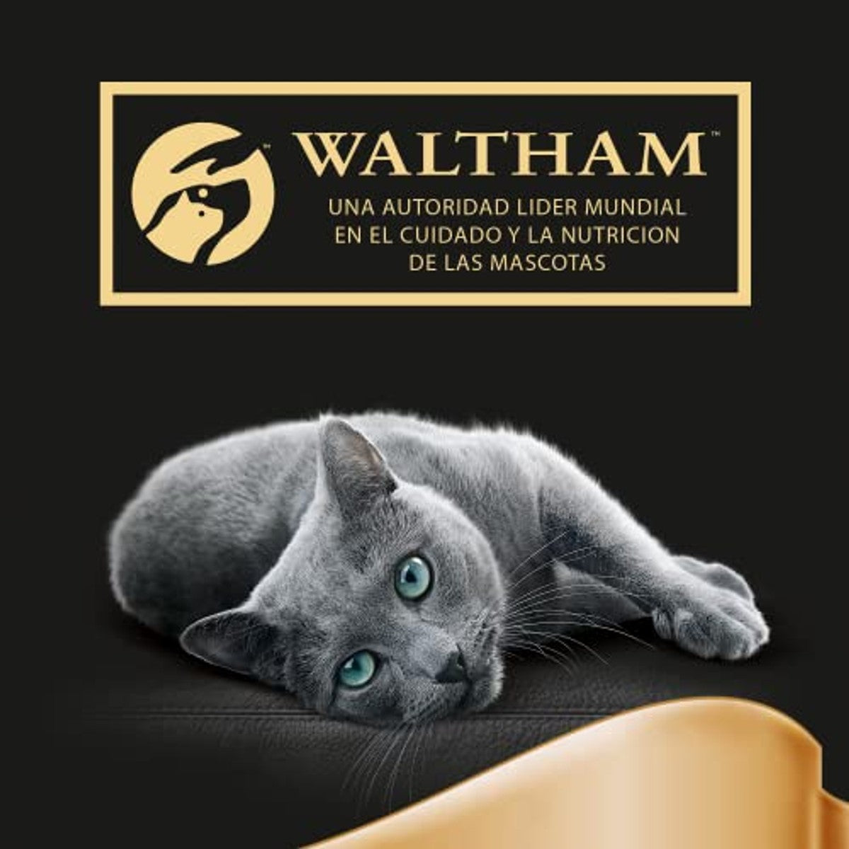 Sheba Nature Collection natvoer kattenvoer kip 22 x 85 g - 3-pack