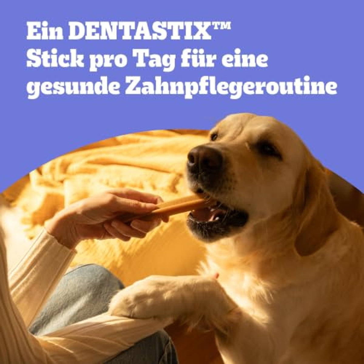 Pedigree DentaStix Hondensnack voor kleine honden (5-10 kg), tandverzorgingssnack met kip en rundvlees, 1 verpakking van 56 stuks (1 x 880 g) – Pedigree