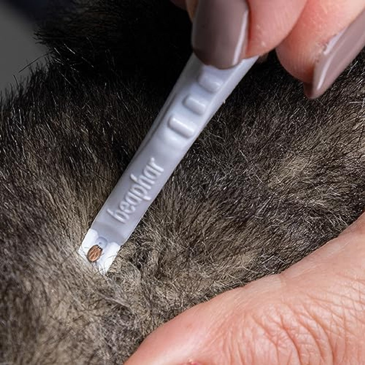 beaphar - Tekenstift voor honden en katten - teken veilig verwijderen - dubbele kop vanggleuf voor alle tekenmaten - herbruikbaar - kan overal mee naartoe worden genomen - 12 cm - wit – beaphar