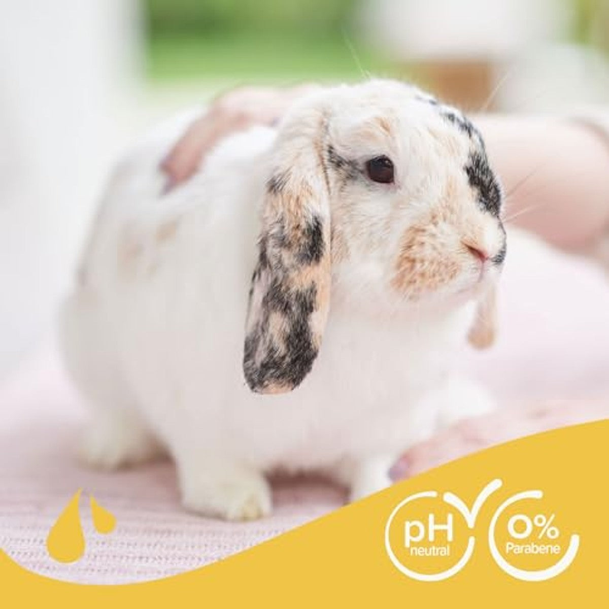 Beaphar Shampoo voor kleine dieren aloë vera & kamille 250 ml - 3-pack
