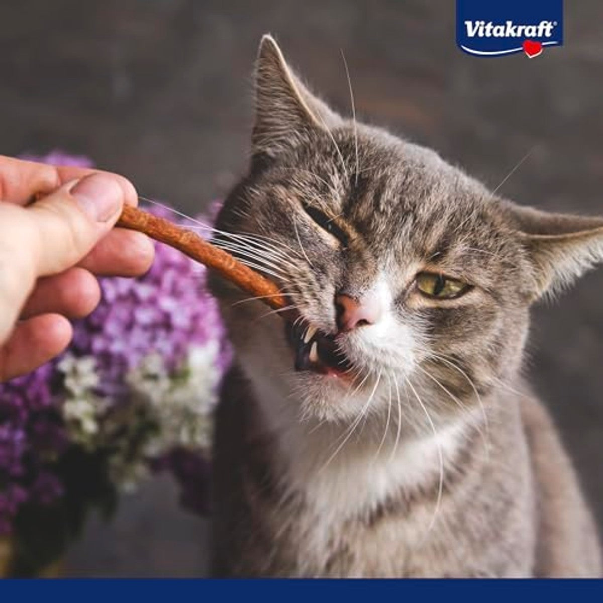 Vitakraft Pure Stick, kattenlekkernijen, vlezige stick met kip, enkele sticks, ook voor voedingsgevoelige katten, zonder toegevoegde suiker (1 x 20 g) – Vitakraft