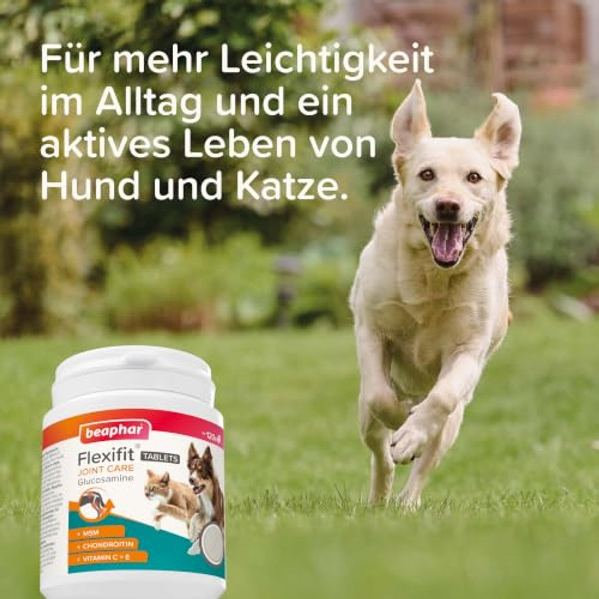Beaphar Flexifit glucosamine tabletten hond & kat, 120 st. - 3-pack – foto 6