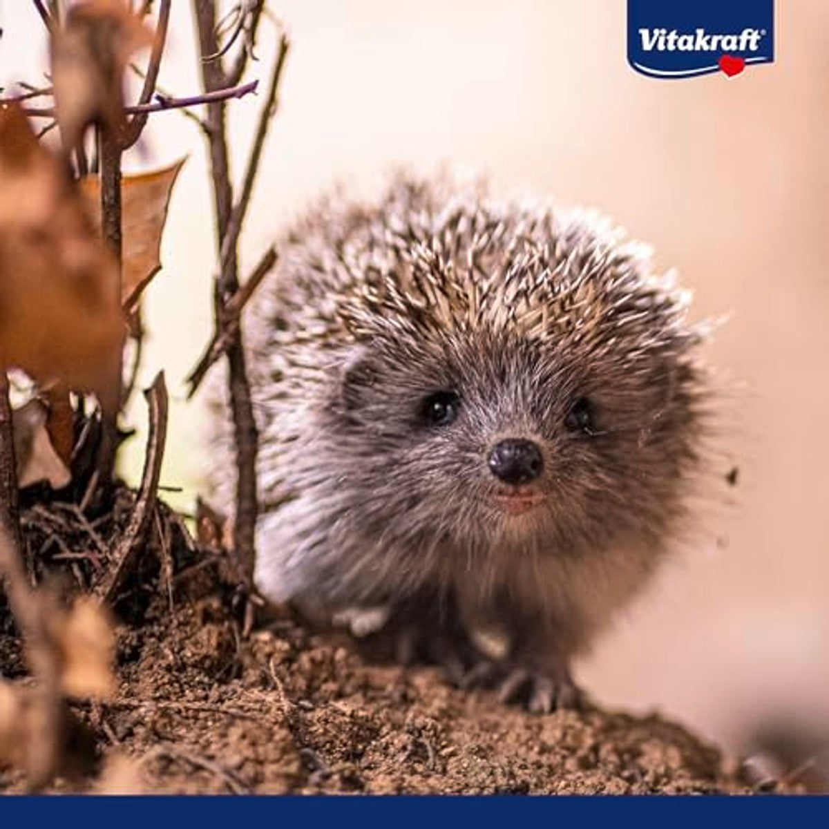 Vitakraft Vita Garden droogvoer egel insecten 1 x 2,5 kg - 3-pack