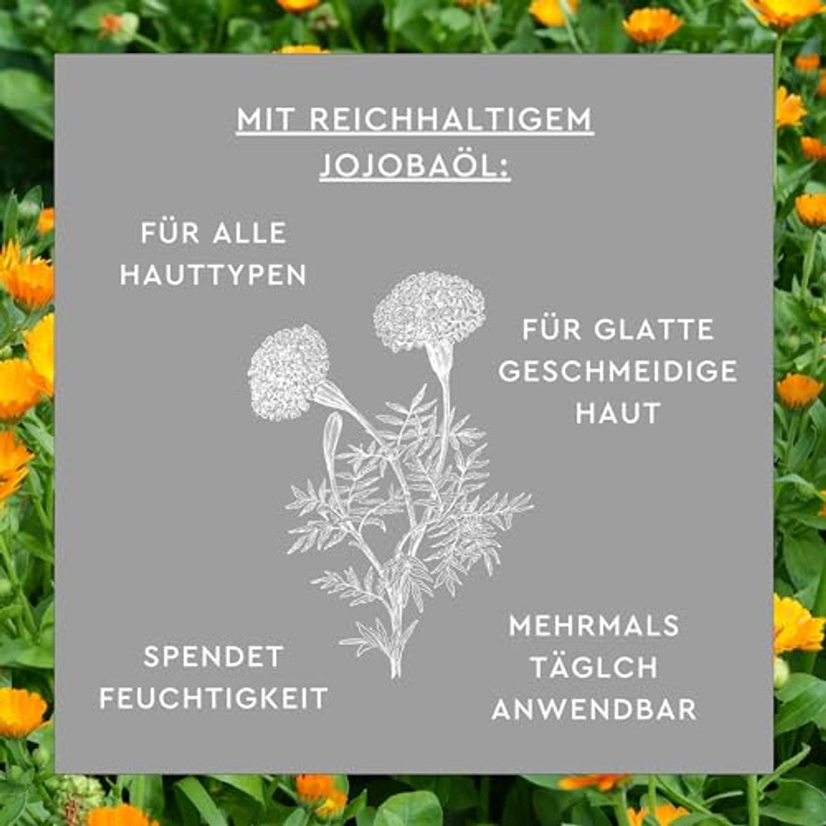 SUNLIFE Calendula-zalf, 100 ml, plantaardige calendula-crème voor ruwe huid, intensieve verzorging met jojoba-olie en allantoïne, huidbescherming tegen gebarsten plekken, kalmerende kruidenzalf, vocht – Sunlife