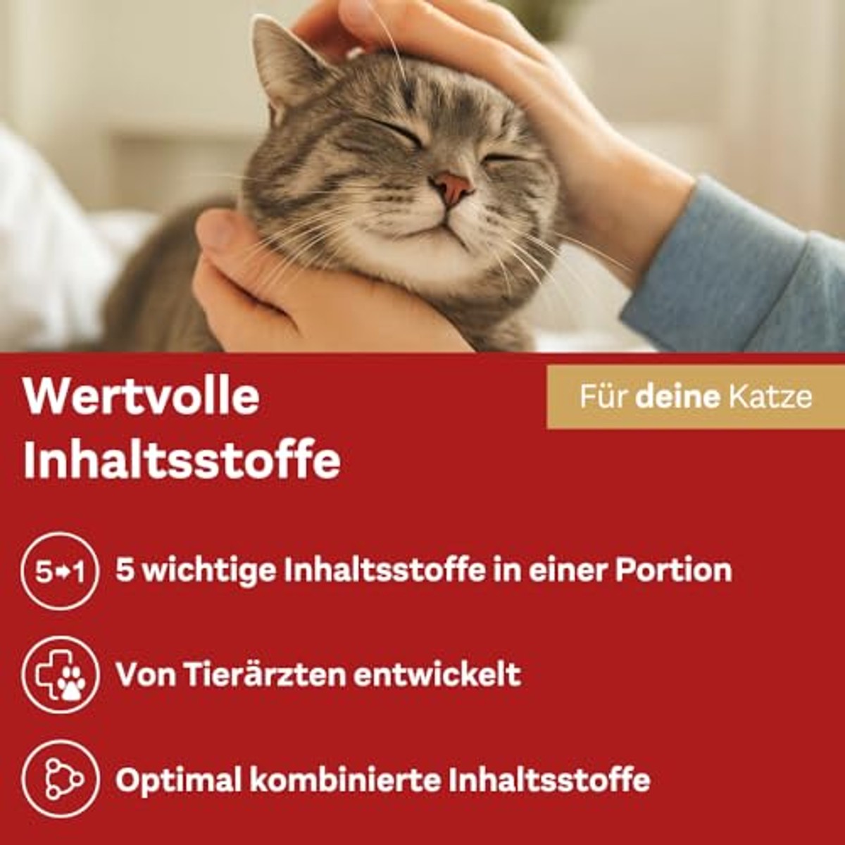 Doppelherz voor Dieren Anti-Haarbal Complex voor Katten 25 Likken - 6-pack