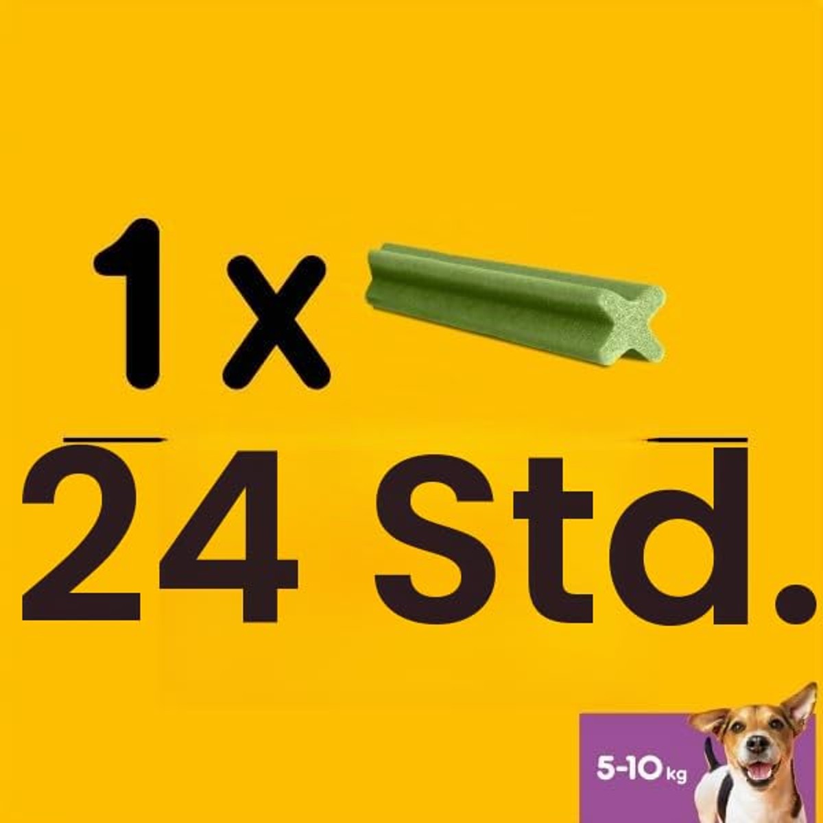 Pedigree Dentastix Fresh kleine hond 5-10 kg 112 stuks 440 g - 3-pack