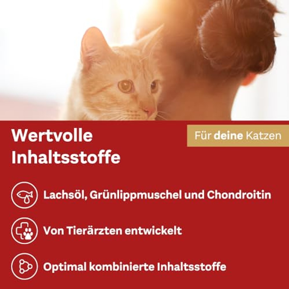Doppelherz Voor dieren gewrichtscomplex voor katten – Doppelherz
