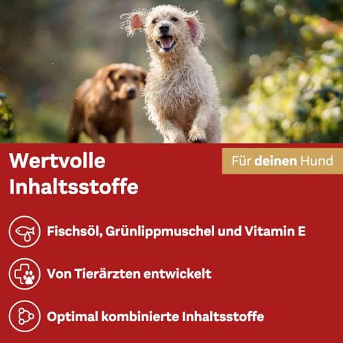 Doppelherz Gewrichtscomplex voor Honden 60 Kauwtjes - 6-pack