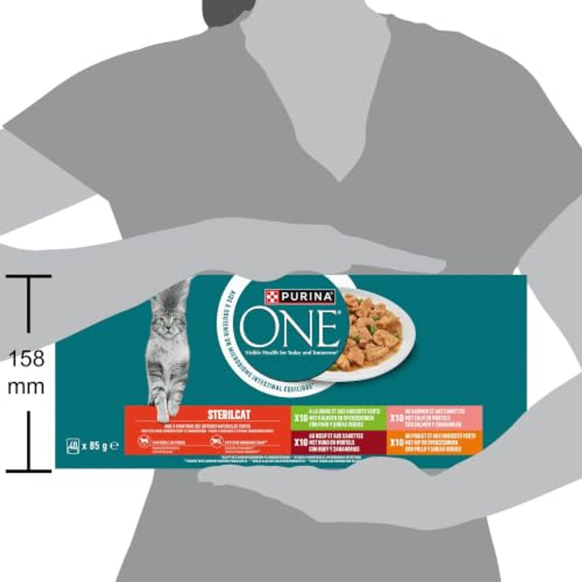 Purina ONE Bifensis Nassfutter für Katzen, sterilisiert, für Erwachsene, mit Lachs und Karotten, 40 Beutel à 85 g – PURINA ONE