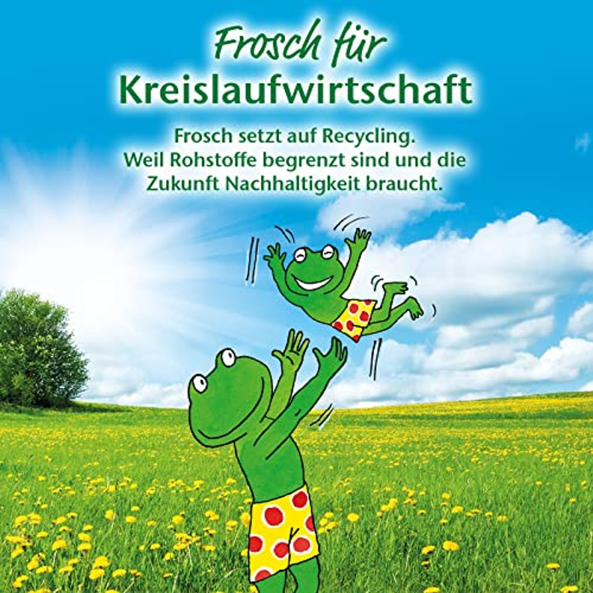 FROSCH Hygiënische Keukenreiniger 300 ml – FROSCH