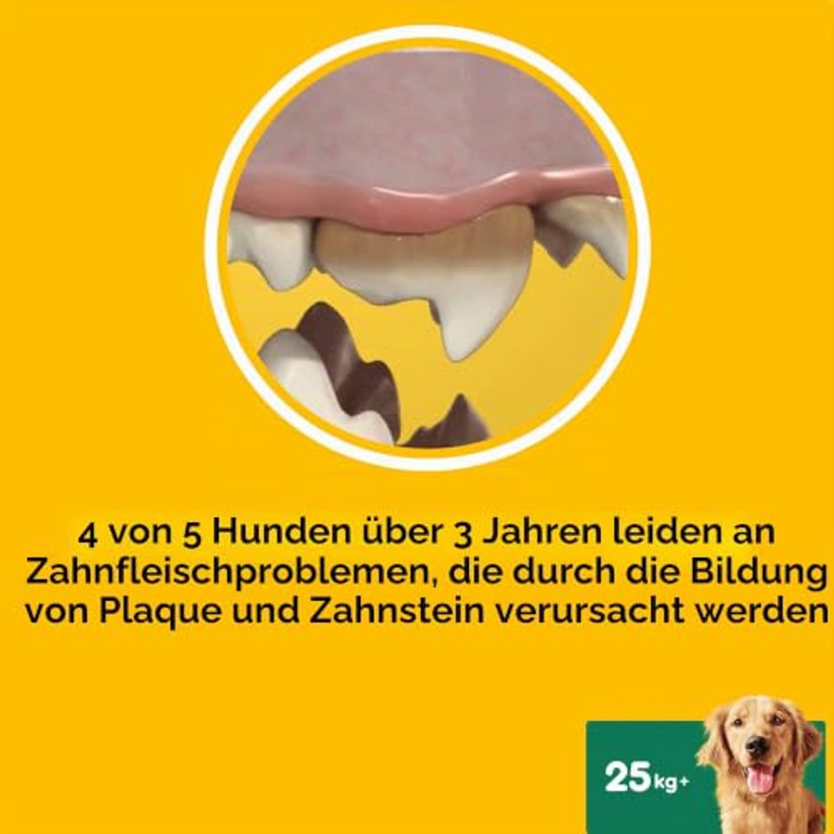 Pedigree Dentastix Fresh 84 Snack voor mondhygiëne (grote hond > 25 kg) 810 g 21 stuks - 4 verpakkingen van 21 stuks (in totaal 84 stuks) – Pedigree