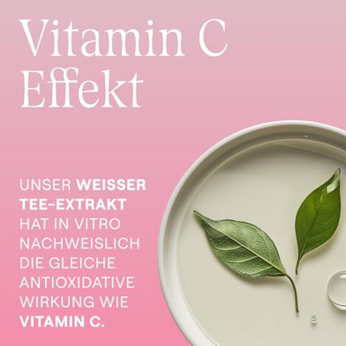 Weleda Gladmakende Oogverzorging Wilde Roos & Witte Thee 12 ml - 6-pack