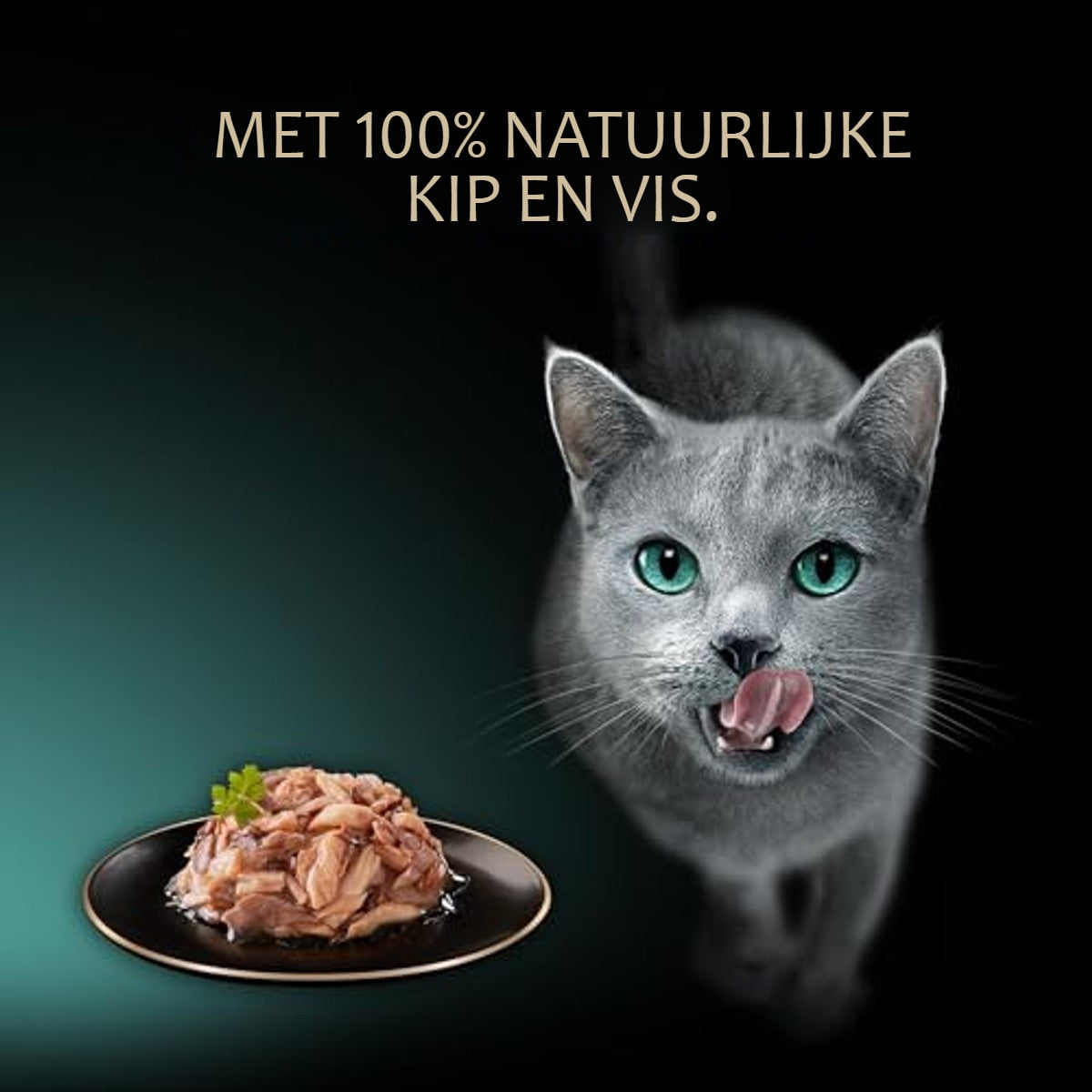 Sheba Filets natvoer kattenvoer kip, tonijn, witte vis, gevogelte en zalm 36 x 60 g – foto 6