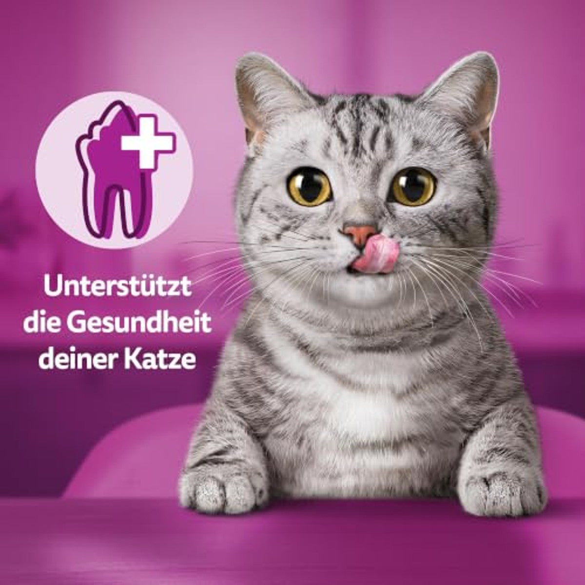 Whiskas Dentabites kattensnack kip 4 x 120 g - 3-pack