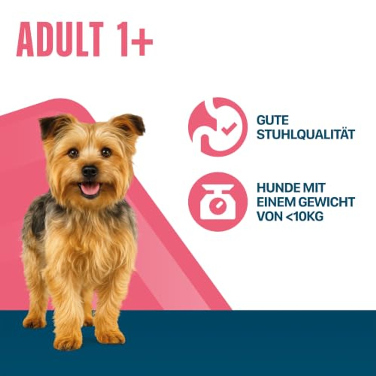 Perfect Fit Adult XS/S hondenvoer kip 1 x 6 kg - 3-pack