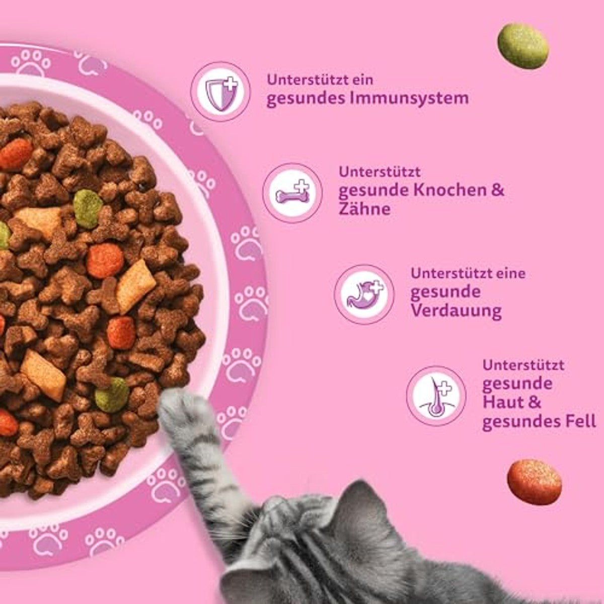 Whiskas Junior droogvoer kat kip 5 x 800 g - 3-pack