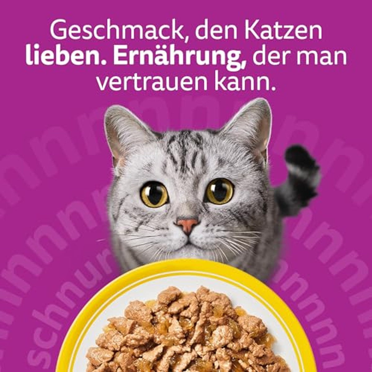 Whiskas natvoer kattenvoer kip 28 x 85 g - 6-pack