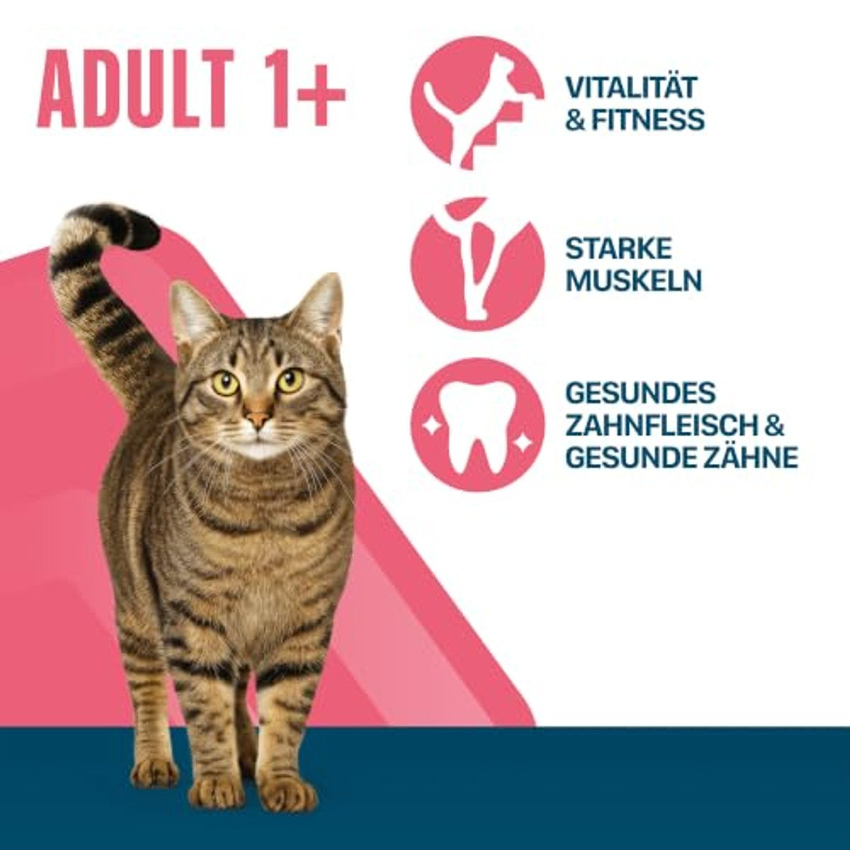 Perfect Fit Volwassen droogvoer kat zalm 1 x 7 kg - 3-pack