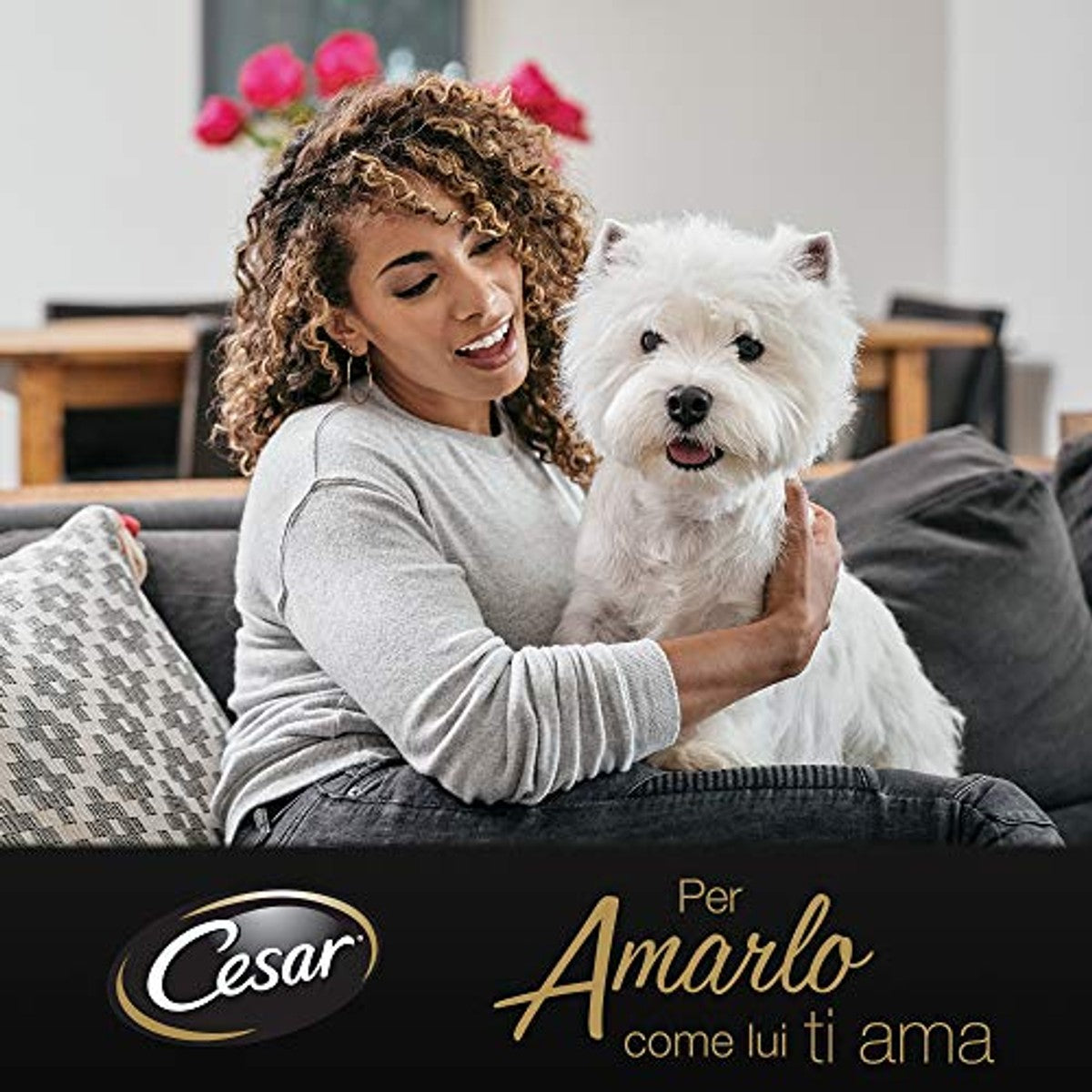 Cesar Senior 10+, voer voor oudere honden, verschillende keuze, 150 g, 24 schalen, 3600 g – Cesar