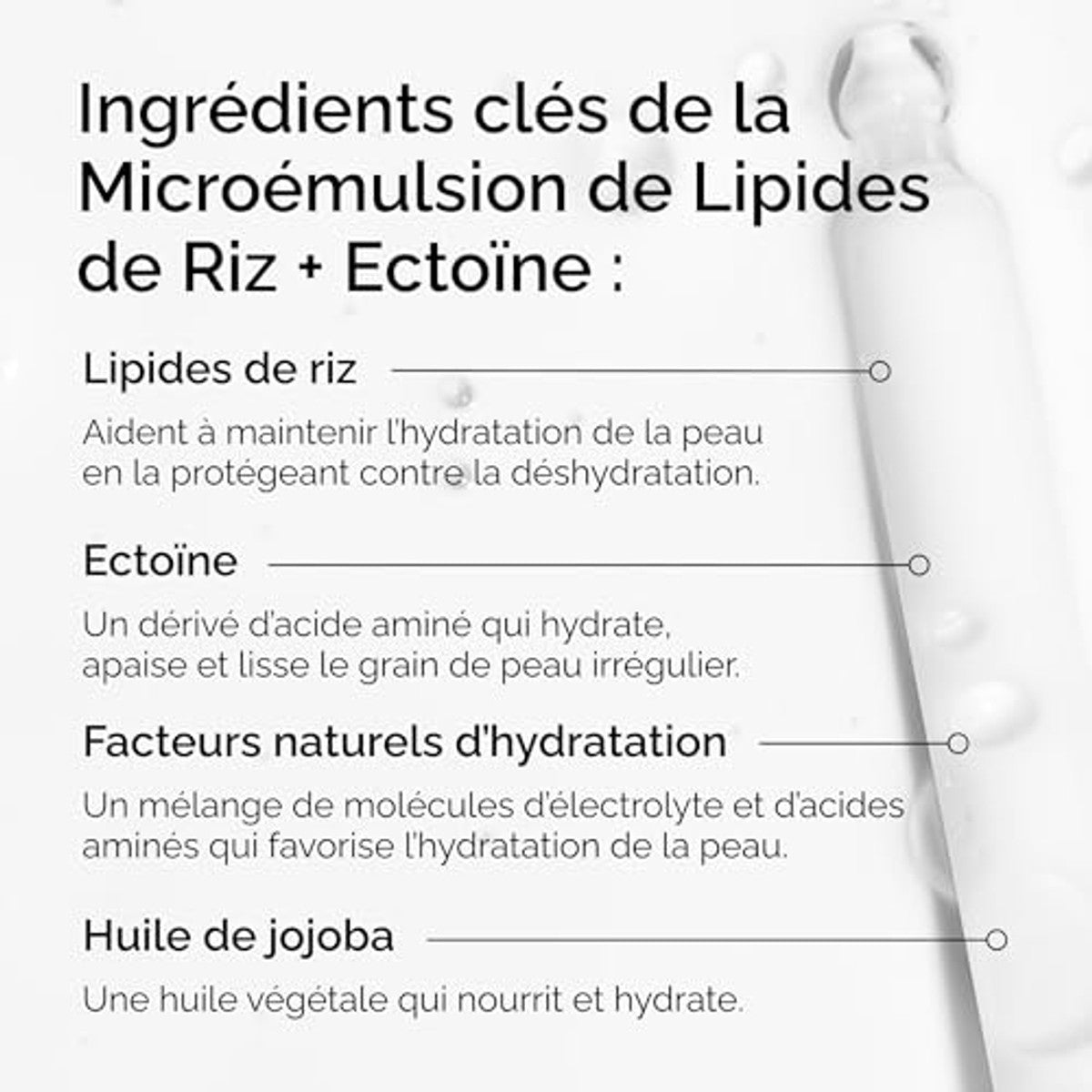 The Ordinary Rice Lipids + Ectoïne Microemulsie Crème - 6-pack