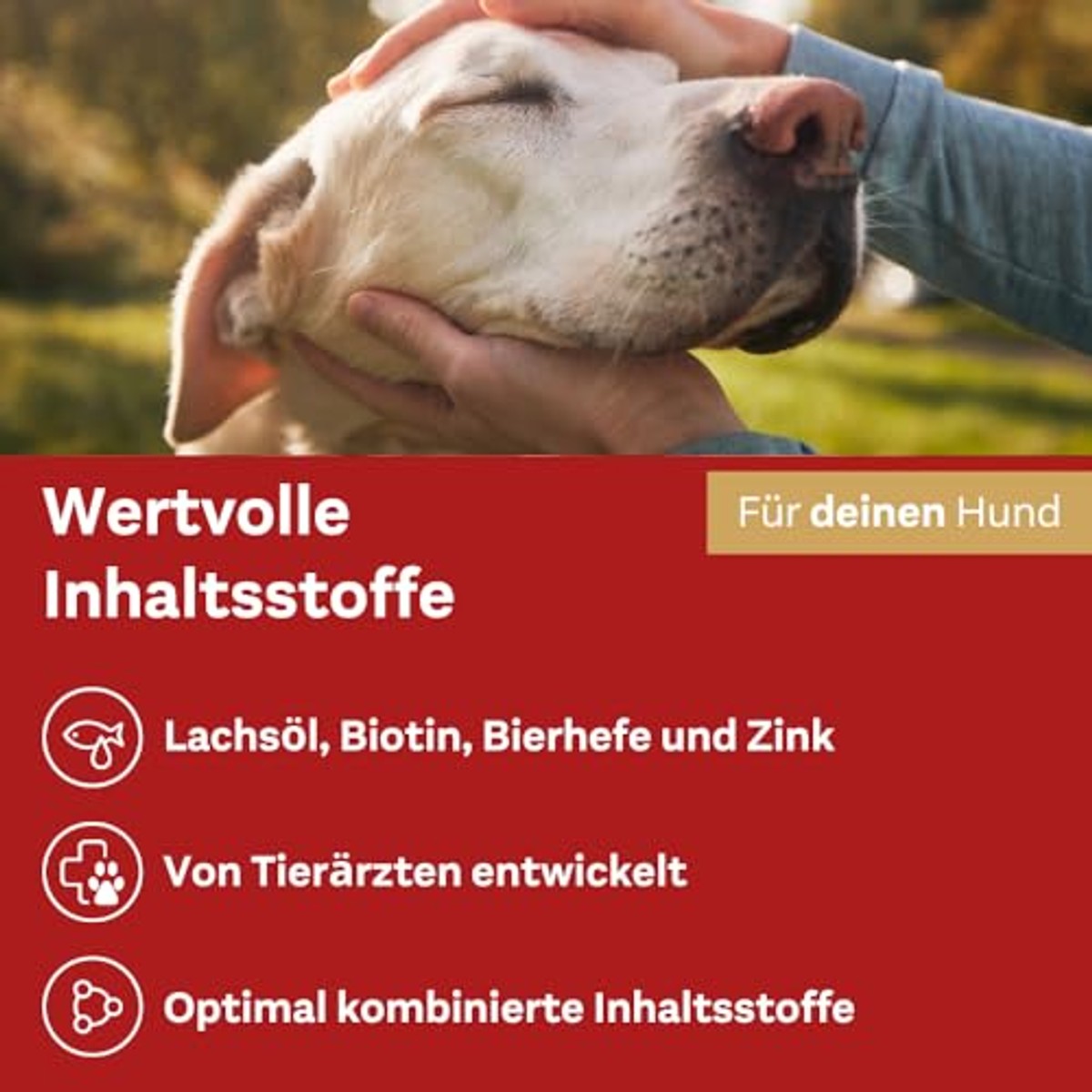 Doppelherz Huid- en Vachtcomplex Kauwsnack voor Honden 60 chews - 6-pack