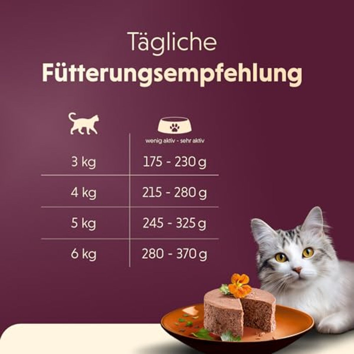 animonda vom Feinsten Volwassen kattenvoer nat paté kip + kalkoen (32 x 85 g) | Natvoer voor volwassen katten, kattenvoer in pastettextuur, zonder granen en suiker, portieschaal van 85 g – animonda Vom Feinsten