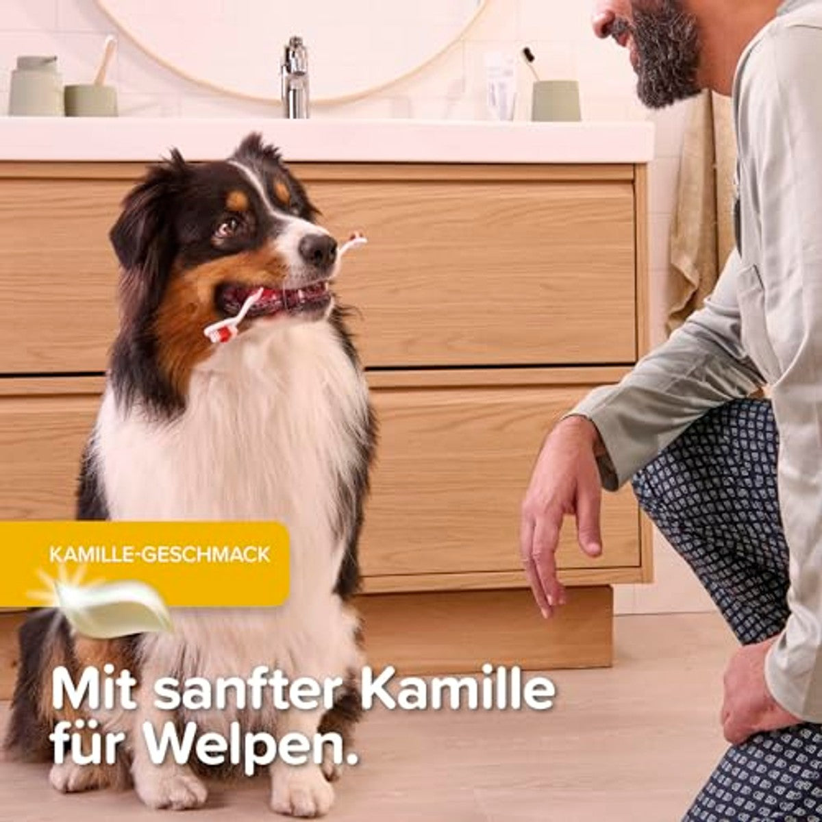 Beaphar tandverzorgingsset voor puppy's – beaphar